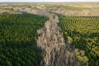 Undeveloped Land for sale in Dallas County, Alabama