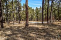 Property for sale in Apache County, Arizona