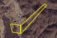 Undeveloped Land for sale in Nicholas County, West Virginia