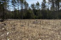 Undeveloped Land for sale in Essex County, New York