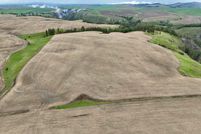 Property for sale in Lewis County, Idaho