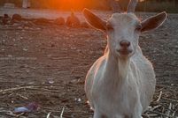 Property for sale in Miami-Dade County, Florida