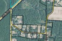 Undeveloped Land for sale in Webster County, Georgia