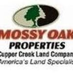 Julie Mansfield Smith