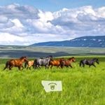 Christopher & Melinda Jeffrey