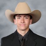 Brandon Peteroccelli