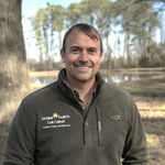 Southern Palmetto Land