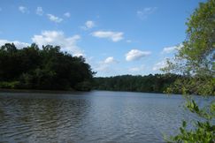 Hunting Land for sale in Tallapoosa County, Alabama