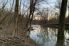 Undeveloped Land for sale in Casey County, Kentucky