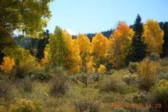 Undeveloped Land for sale in Costilla County, Colorado