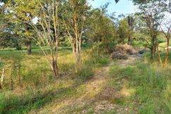 Undeveloped Land for sale in Bowie County, Texas