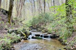 Timberland Property for sale in Gilmer County, Georgia
