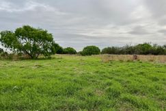 Undeveloped Land for sale in Bee County, Texas