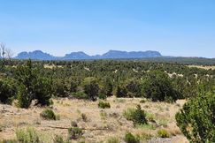 Horse Property for sale in Catron County, New Mexico