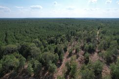Property for sale in Tyler County, Texas