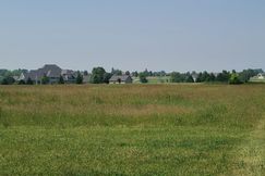 Undeveloped Land for sale in Ogle County, Illinois