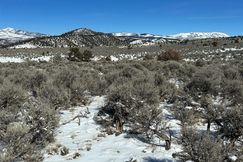 Undeveloped Land for sale in Costilla County, Colorado