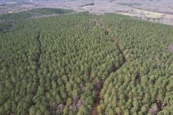 Land for Sale in Banks County, Georgia - 82 Properties - Land.com