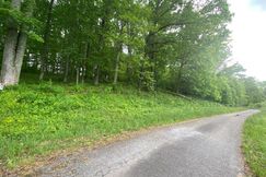 Undeveloped Land for sale in Towns County, Georgia