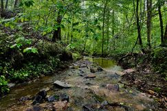 Timberland Property for sale in Gilmer County, Georgia