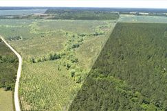 Timberland Property for sale in Ben Hill County, Georgia