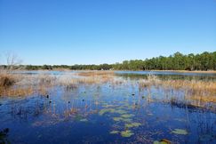 Undeveloped Land for sale in Marion County, Florida