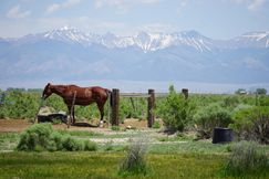 Undeveloped Land for sale in Saguache County, Colorado