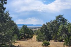 Undeveloped Land for sale in Catron County, New Mexico