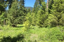 Recreational Property for sale in Okanogan County, Washington