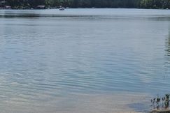 Undeveloped Land for sale in Sharp County, Arkansas