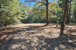 Hunting Land for sale in Crenshaw County, Alabama