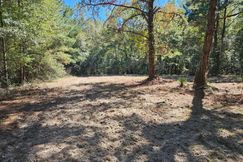 Timberland Property for sale in Crenshaw County, Alabama