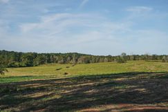 Farm Property for sale in Lincoln Parish, Louisiana