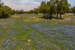 Undeveloped Land for sale in Bosque County, Texas