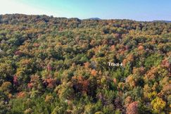 Undeveloped Land for sale in Monroe County, Tennessee