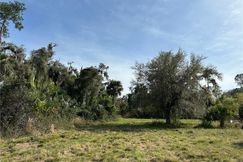 Undeveloped Land for sale in Glades County, Florida