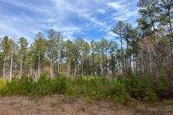 Undeveloped Land for sale in Bibb County, Alabama
