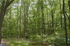 Undeveloped Land for sale in Prince Georges County, Maryland