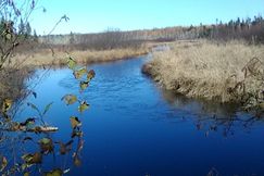 Lakefront Property for sale in Aroostook County, Maine