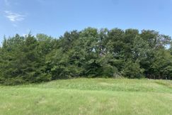 Property for sale in Hopkins County, Texas