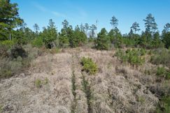 Timberland Property for sale in Angelina County, Texas