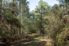Property for sale in Jackson Parish, Louisiana