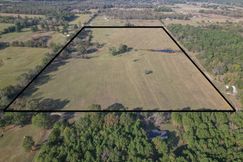 Undeveloped Land for sale in Bowie County, Texas