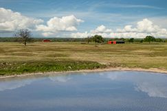 Ranch Property for sale in Wise County, Texas
