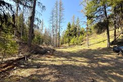Undeveloped Land for sale in Okanogan County, Washington