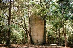 Property for sale in Oglethorpe County, Georgia