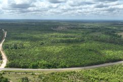 Timberland Property for sale in Washington County, Georgia