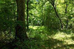 Recreational Property for sale in Madison County, Mississippi