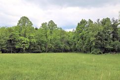 Undeveloped Land for sale in Floyd County, Virginia