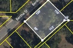 Undeveloped Land for sale in Ware County, Georgia